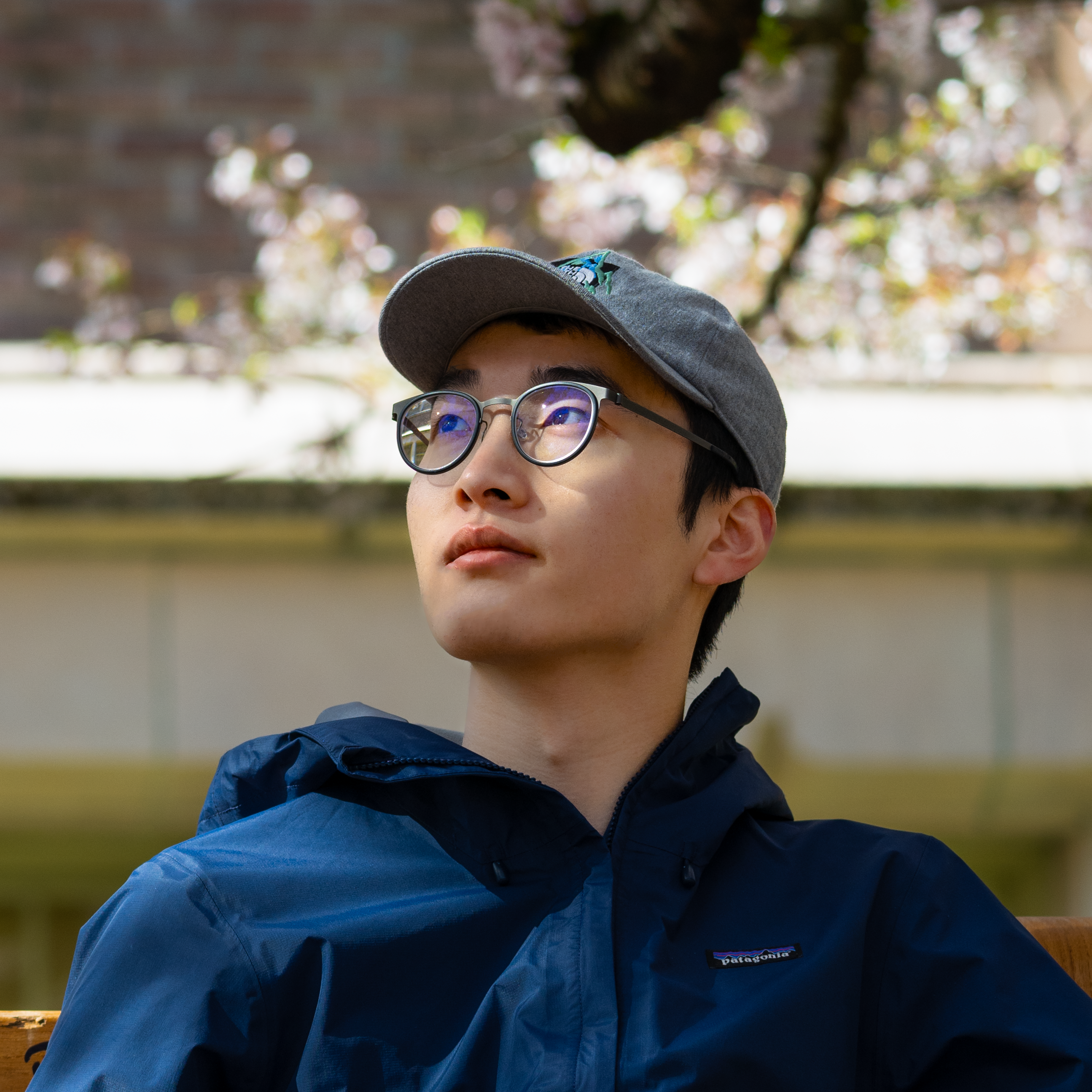 Ray Chen's profile picture